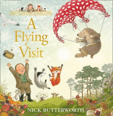 A Flying Visit 1