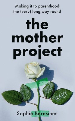 bokomslag Mother Project