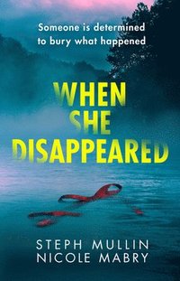 bokomslag When She Disappeared