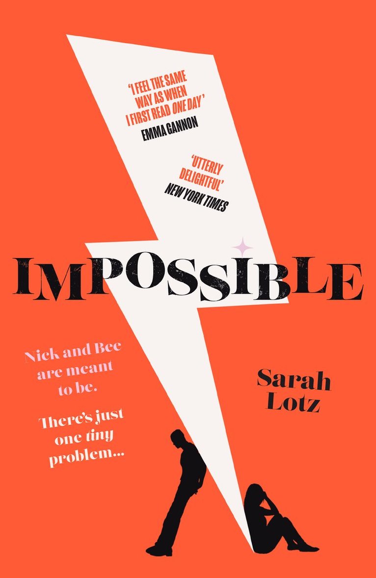 Sarah Lotz - Impossible, Häftad
