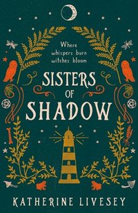 bokomslag Sisters of Shadow