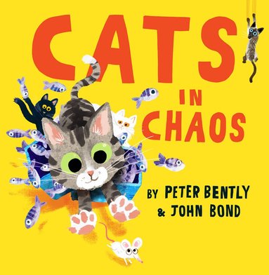 Peter Bently - Cats in Chaos, Häftad