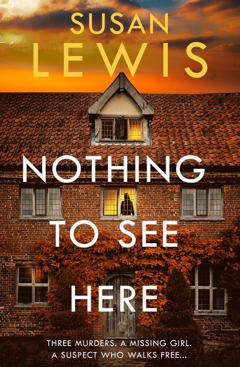 Susan Lewis - Nothing to See Here, Inbunden