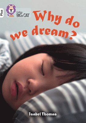 bokomslag Why do we dream?