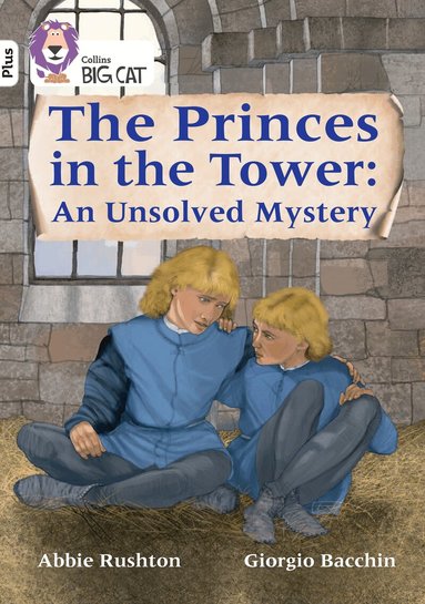 Abbie Rushton - Princes in the Tower: An Unsolved Mystery, Häftad