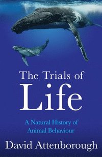 bokomslag The Trials Of Life: A Natural History Of Animal Behaviour