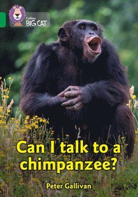 bokomslag Can I talk to a chimpanzee?