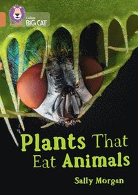 bokomslag Plants that Eat Animals