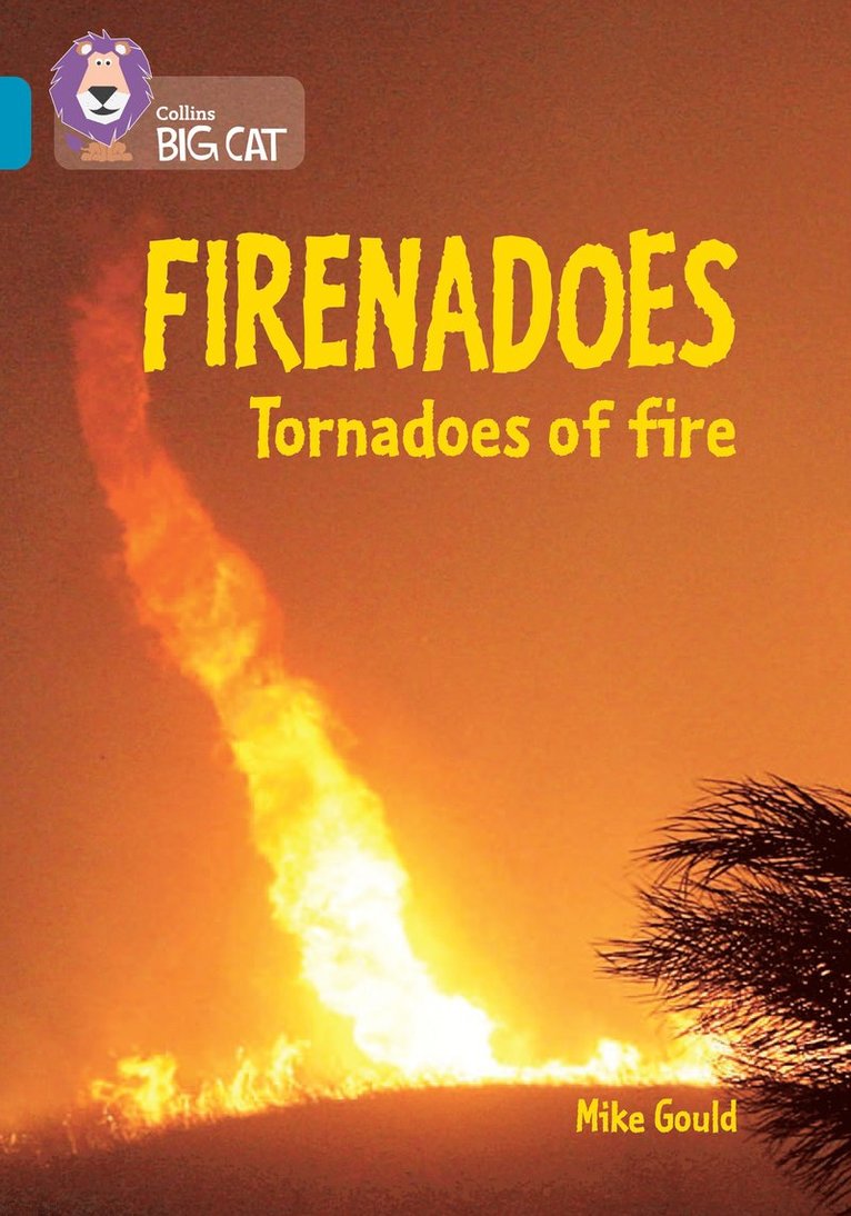 Mike Gould - Firenadoes: Tornadoes of fire, Häftad