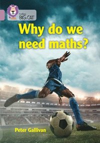 bokomslag Why do we need maths?