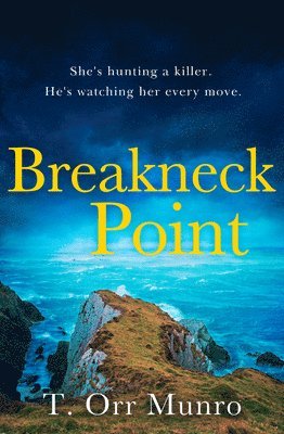bokomslag The Breakneck Point
