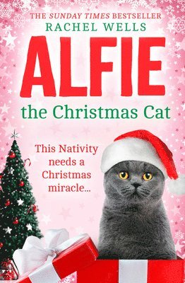 Alfie the Christmas Cat 1