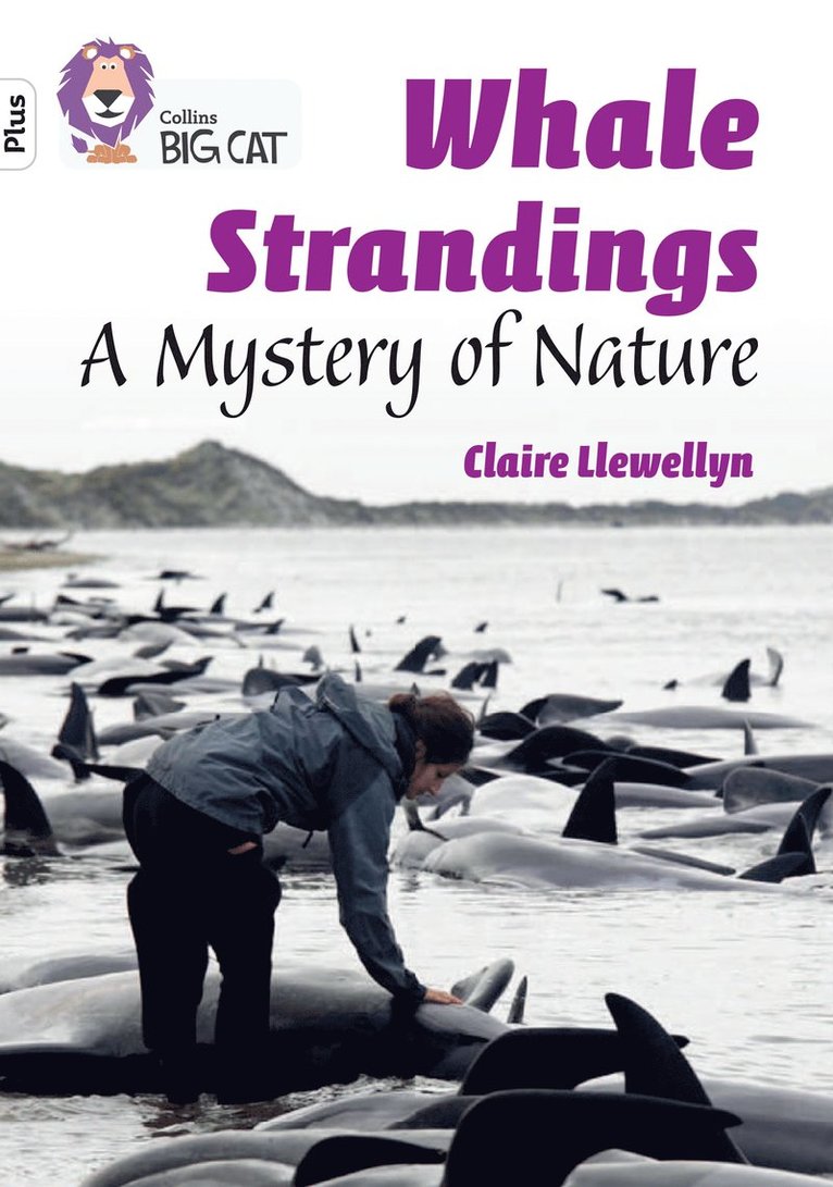 Claire Llewellyn - Whale Strandings: A Mystery of Nature, Häftad