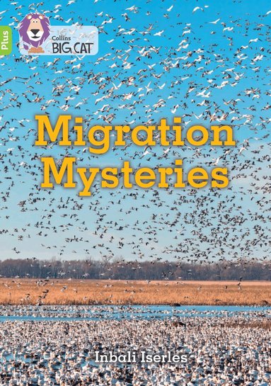 Inbali Iserles - Migration Mysteries, Häftad