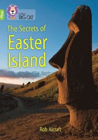 bokomslag Secrets of Easter Island