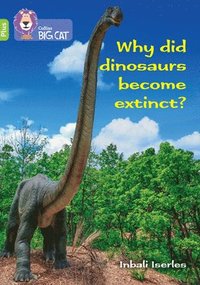 bokomslag Why did dinosaurs become extinct?