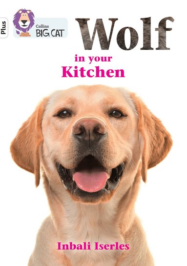Inbali Iserles - Wolf in your kitchen, Häftad