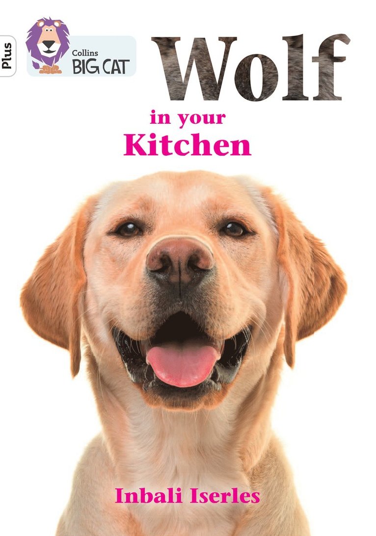 Inbali Iserles - Wolf in your kitchen, Häftad