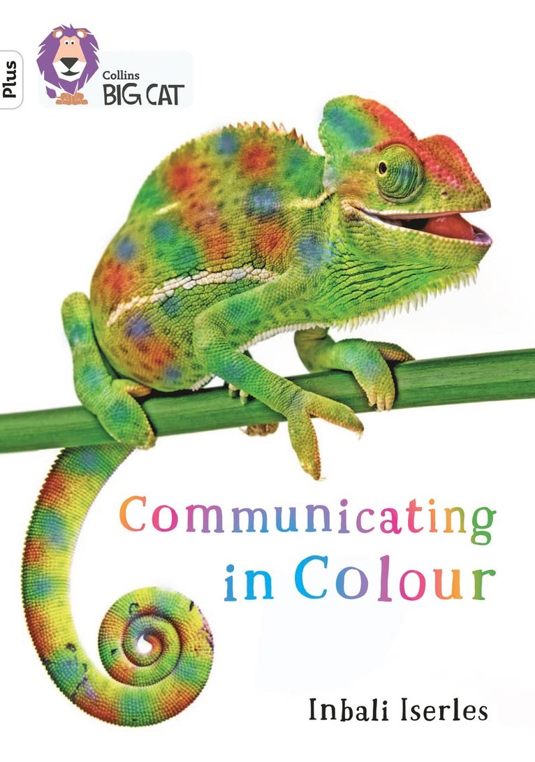 Inbali Iserles - Communicating in Colour, Häftad