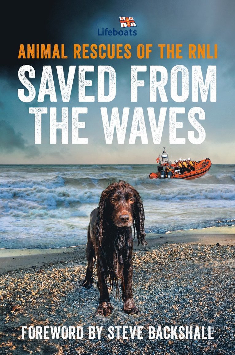 Saved from the Waves
