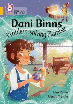 Lisa Rajan - Dani Binns: Problem-solving Plumber, Häftad