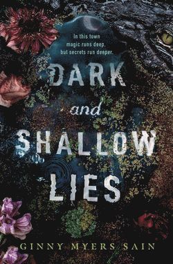 Dark and Shallow Lies 1