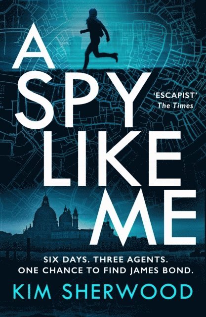 A Spy Like Me 1