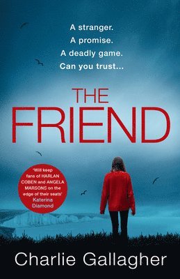 Charlie Gallagher - The Friend, Häftad