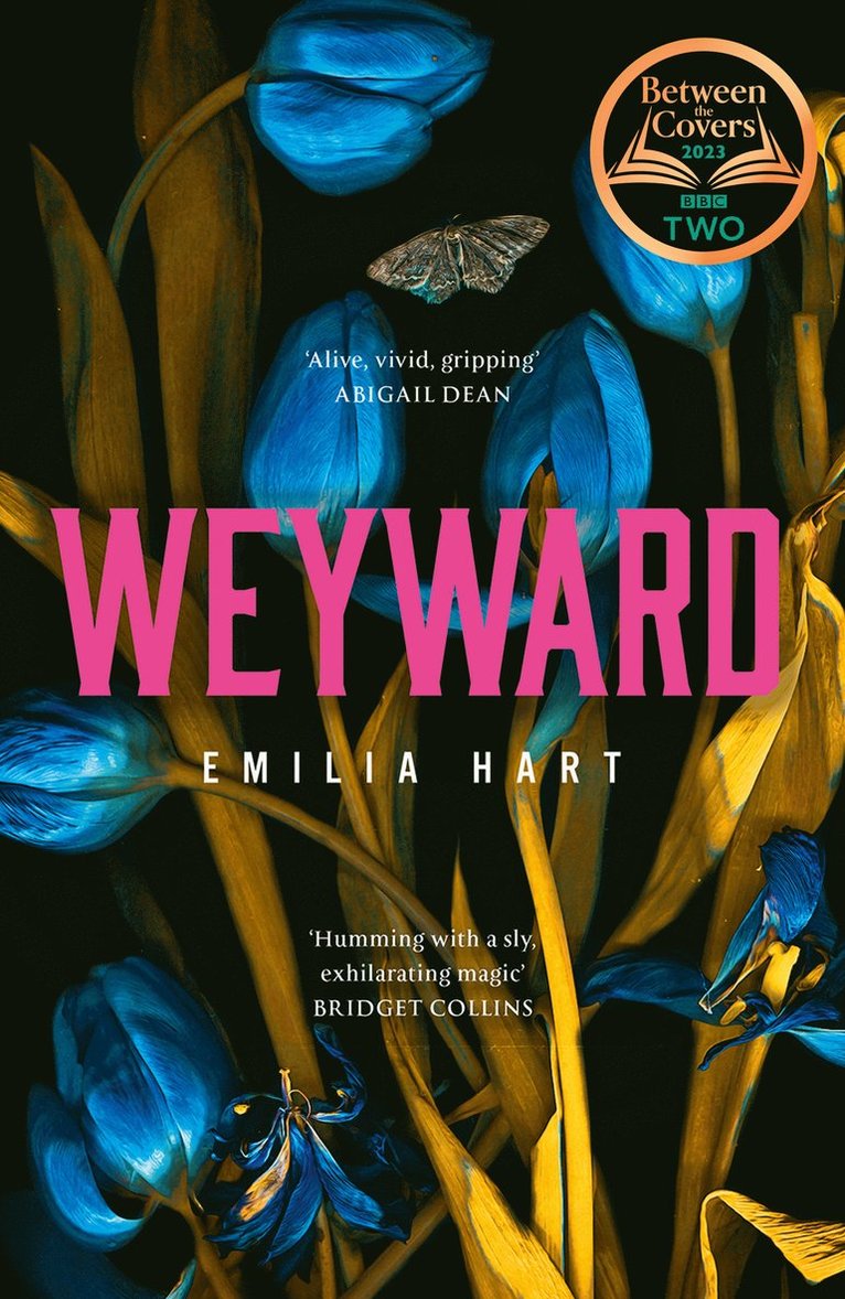 Emilia Hart - Weyward, Inbunden