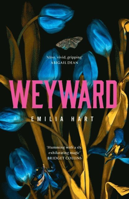 Emilia Hart - Weyward, Häftad