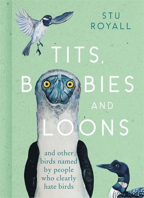 bokomslag Tits, Boobies and Loons