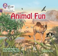 bokomslag Animal Fun