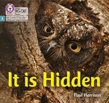 Paul Harrison - It is Hidden, Häftad