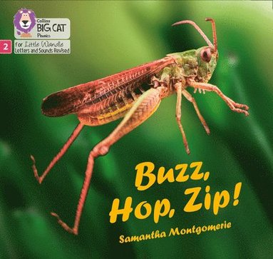 bokomslag Buzz, Hop, Zip!