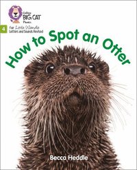bokomslag How to Spot an Otter