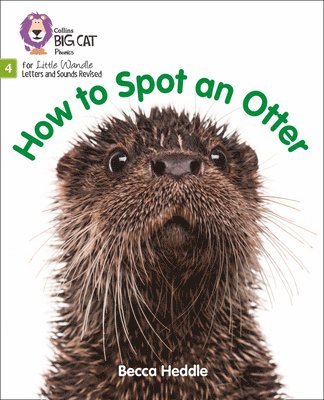 How to Spot an Otter 1