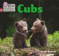 bokomslag Cubs