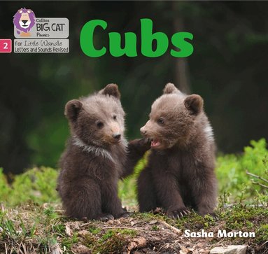 Sasha Morton - Cubs, Häftad