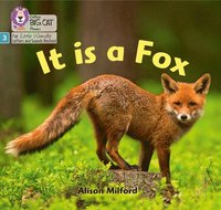 bokomslag It is a Fox