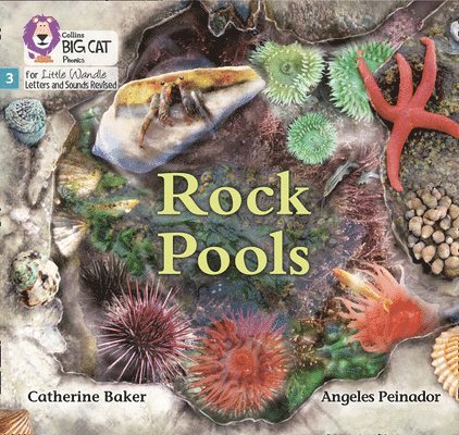 Rock Pools 1