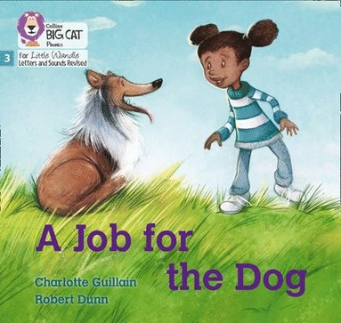 bokomslag Job for the Dog