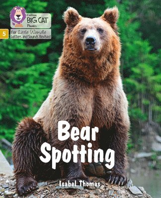 Bear Spotting 1