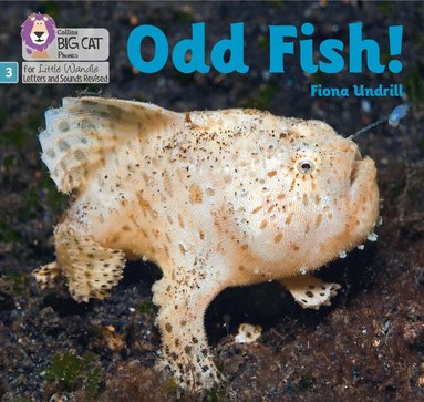 Fiona Undrill - Odd Fish!, Häftad