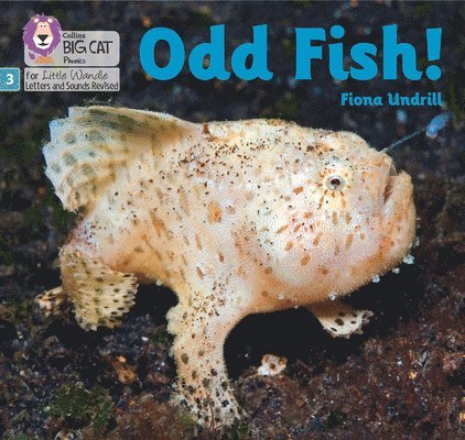 Odd Fish! 1