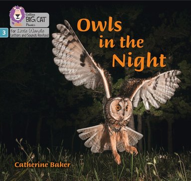 Catherine Baker - Owls in the Night, Häftad