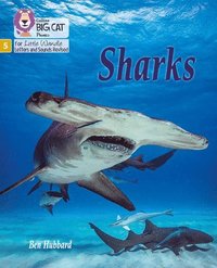 bokomslag Sharks