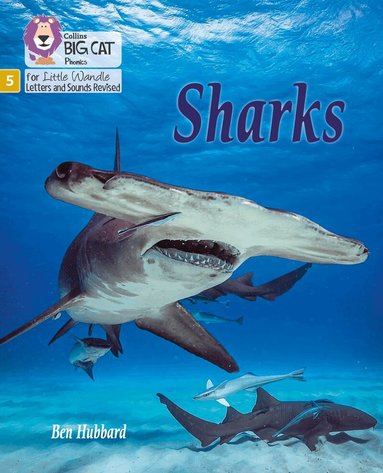 Ben Hubbard - Sharks, Häftad