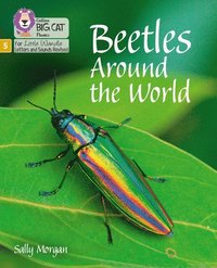 bokomslag Beetles Around the World