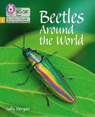 Beetles Around the World 1