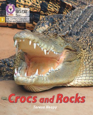 Crocs and Rocks 1
